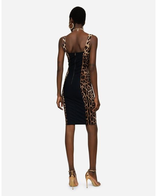 Dolce & Gabbana Brown Leopard-Print Cady Corset-Style Midi Dress
