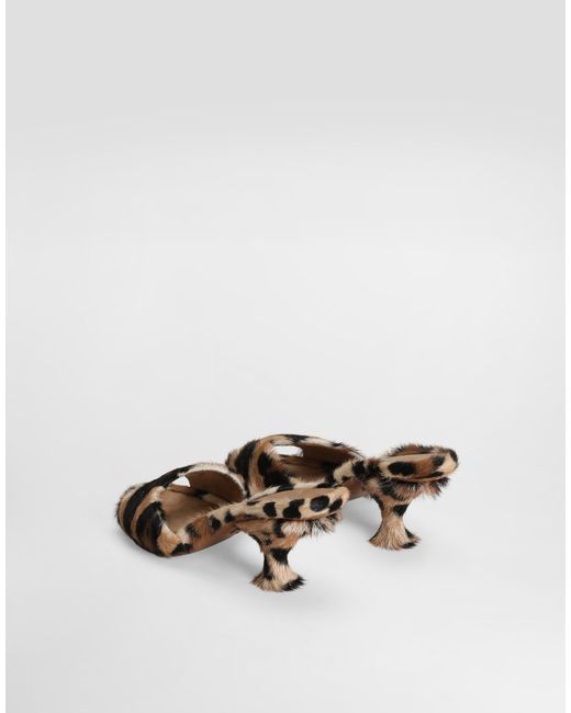 Dolce & Gabbana Natural Leopard- Keira Mules