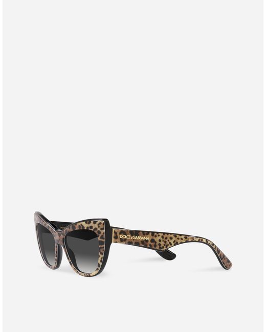 Dolce & Gabbana New Print Sunglasses Gray