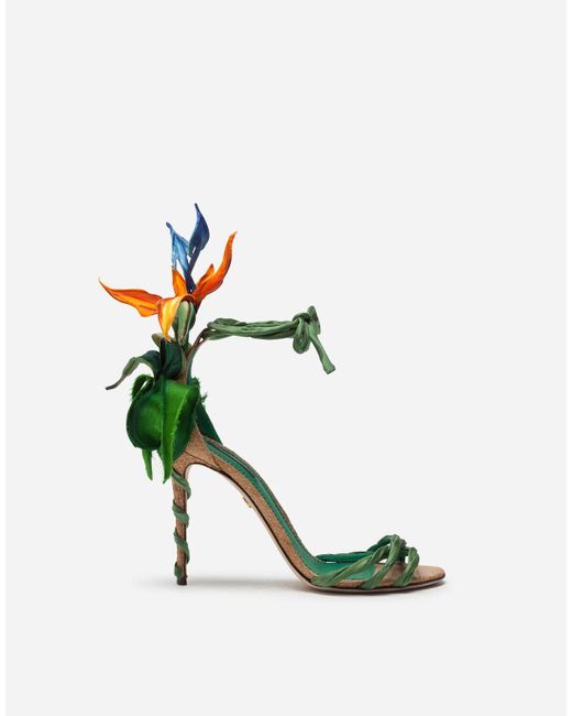 Dolce & Gabbana Green Satin Sandals With Bird Of Paradise Embroidery