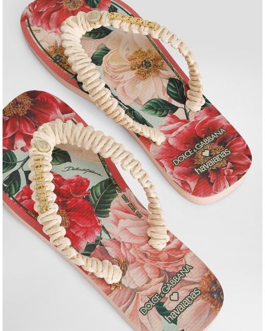 Dolce & Gabbana Multicolor Sandalias Havaianas for men