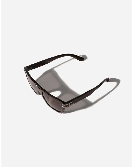 Dolce & Gabbana Brown Dg Griffe Sunglasses for men