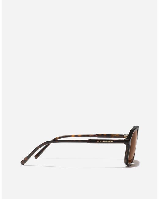 Dolce & Gabbana Multicolor Everyday Sunglasses