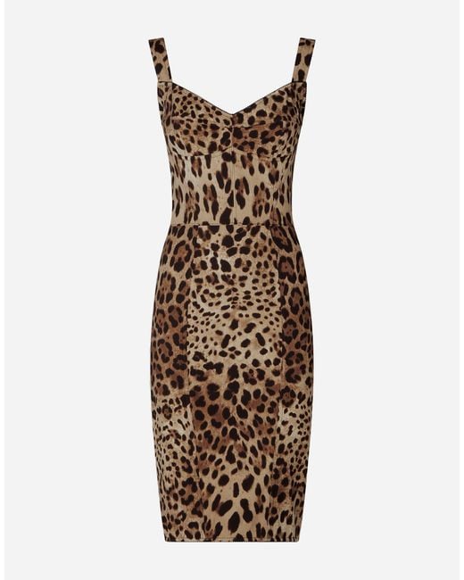 Dolce & Gabbana Brown Leopard-Print Cady Corset-Style Midi Dress