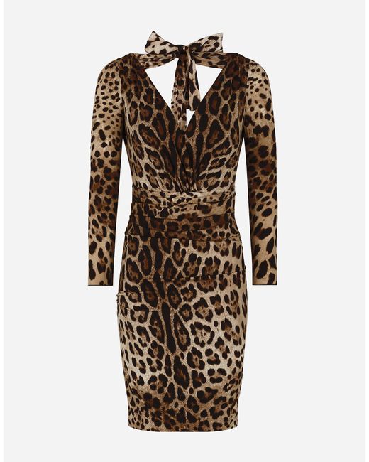 Dolce & Gabbana Multicolor Kurzes Kleid Aus Charmeuse Leoprint Mit Schleife