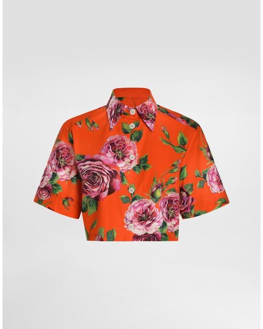 Chemise Courte En Coton À Rose Ancienne Dolce & Gabbana en coloris Red