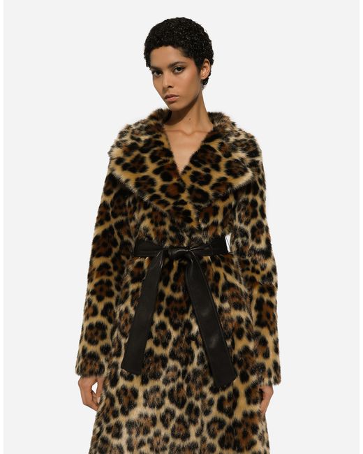 Dolce & Gabbana Brown Cappotto