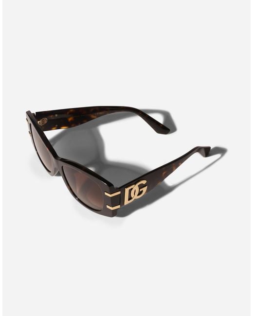Dolce & Gabbana Brown Dg Griffe Sunglasses