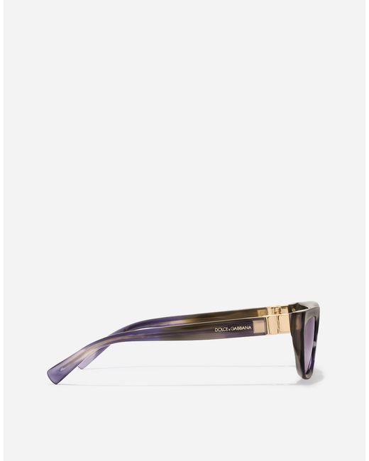 Dolce & Gabbana Purple Dg Hinge Sunglasses
