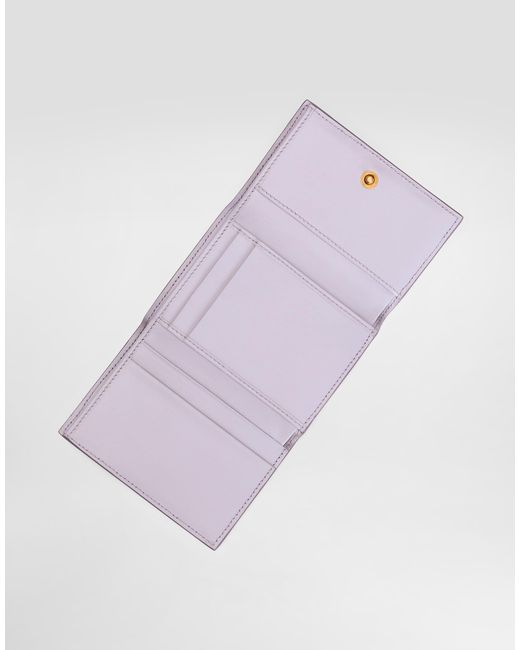 Dolce & Gabbana Pink Portafoglio