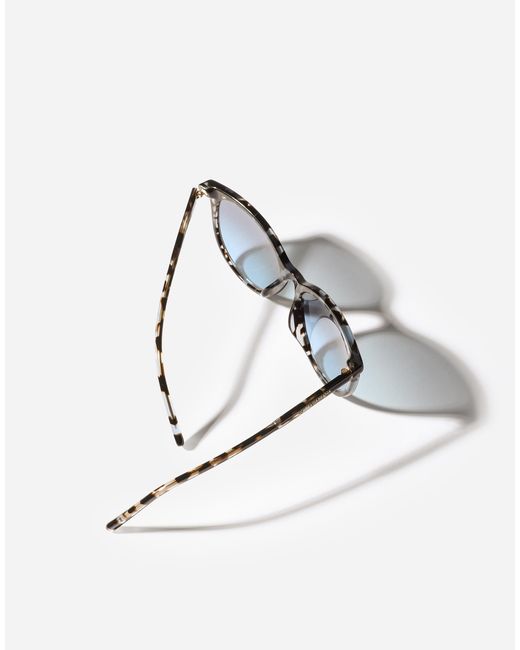 Dolce & Gabbana Blue Everyday Sunglasses