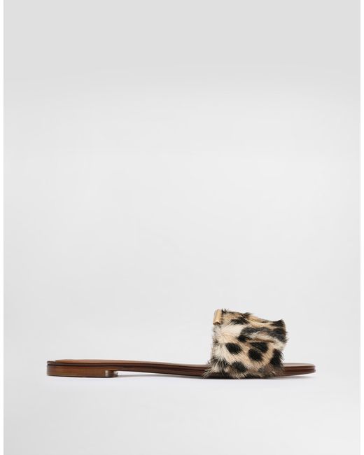 Dolce & Gabbana Multicolor Leo- Flat Slippers