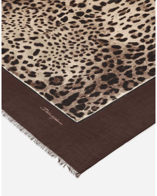 Écharpe 135 X 200 En Modal Et Cachemire À Imprimé Léopard Dolce & Gabbana en coloris Brown