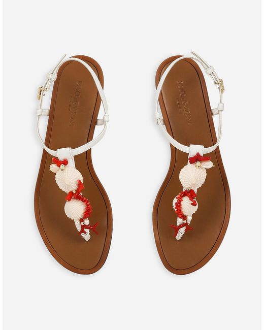 Dolce & Gabbana White Embellished Thong Sandals