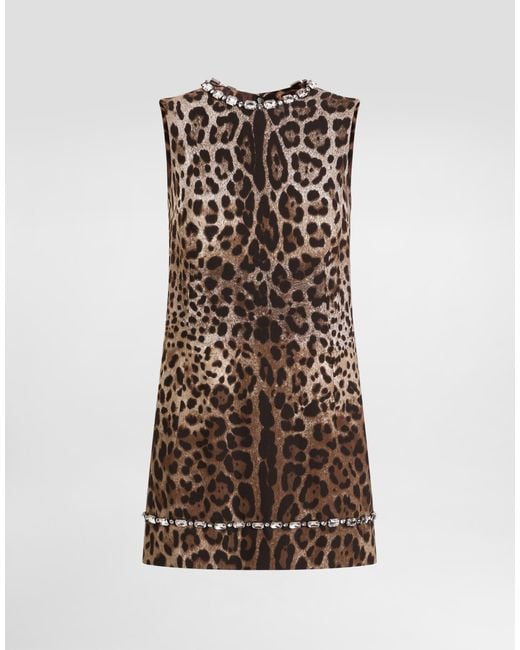 Dolce & Gabbana Brown Leo- Cady Dress