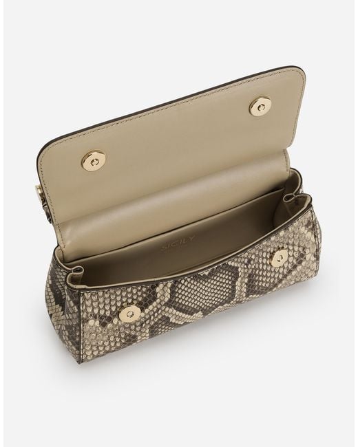 Dolce & Gabbana Natural Small Sicily Handbag