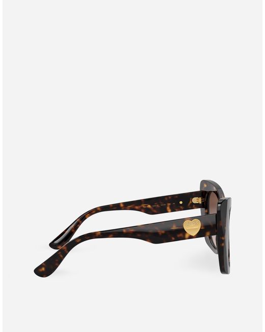 Dolce & Gabbana Brown Dg Devotion Sunglasses