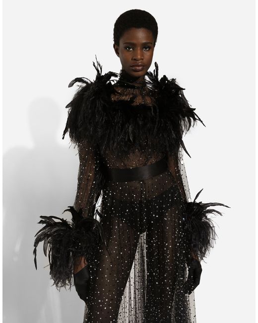 Dolce & Gabbana Black Calf-Length Stretch Tulle Dress With Fusible Rhinestones And Rooster And Ostrich Feather Embellishment