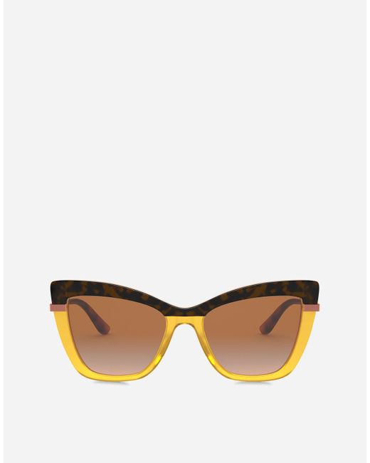 Dolce & Gabbana Brown Half Print Sunglasses