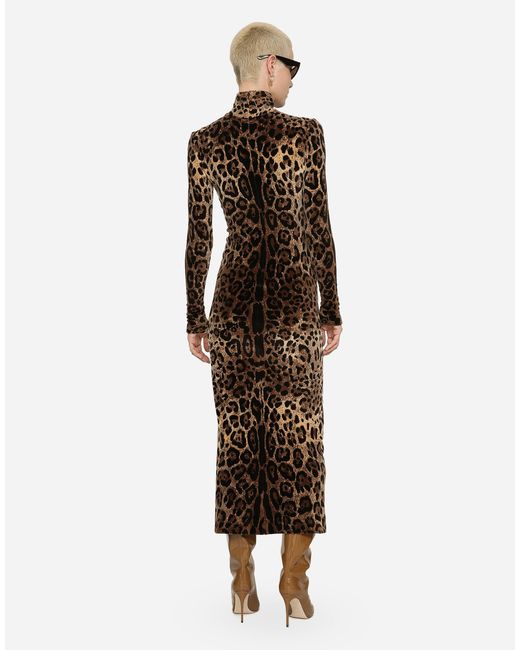 Dolce & Gabbana Multicolor Long Chenille Dress With Jacquard Leopard Design