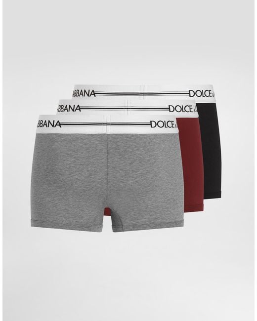 Dolce & Gabbana Gray Regular Boxer for men