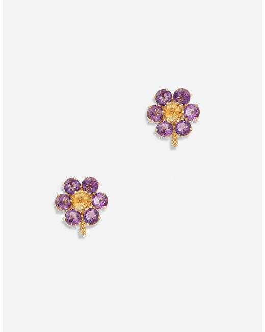 Dolce & Gabbana White Spring Earrings 18Kt And Amethysts