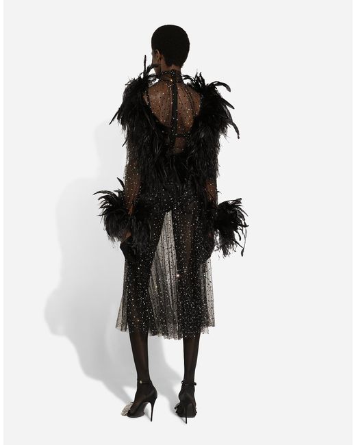 Dolce & Gabbana Black Calf-Length Stretch Tulle Dress With Fusible Rhinestones And Rooster And Ostrich Feather Embellishment