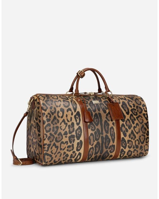 Dolce & Gabbana Brown Borsa A Mano