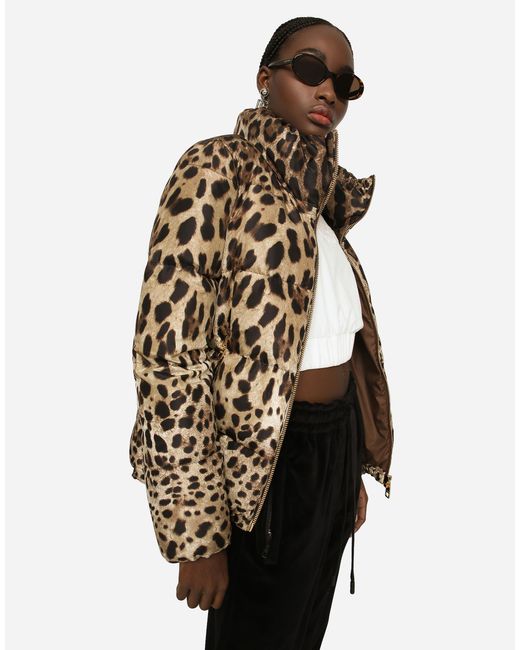 Dolce & Gabbana Brown Padded Leopard-Print Nylon Jacket