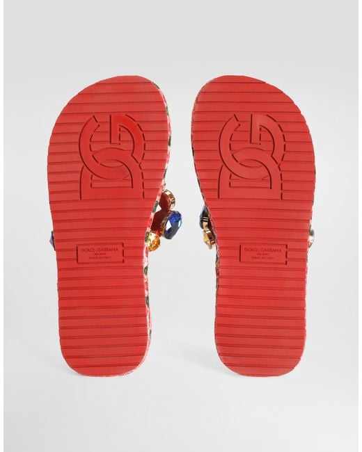 Dolce & Gabbana Multicolor Sandalo