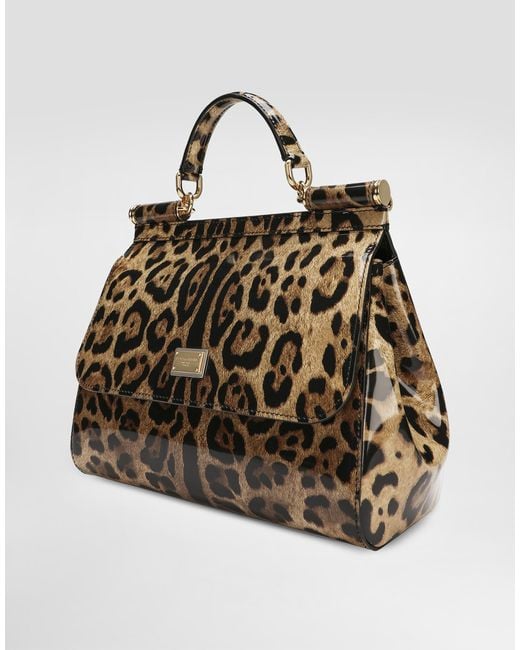 Dolce & Gabbana Brown Large Sicily Handbag