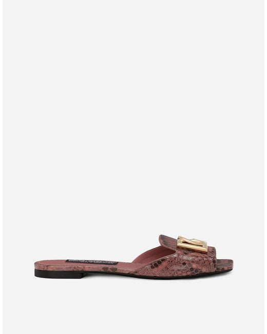 Dolce & Gabbana Brown Python Skin Sliders