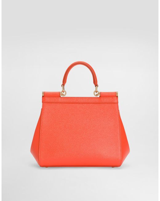 Dolce & Gabbana Red Borsa A Mano