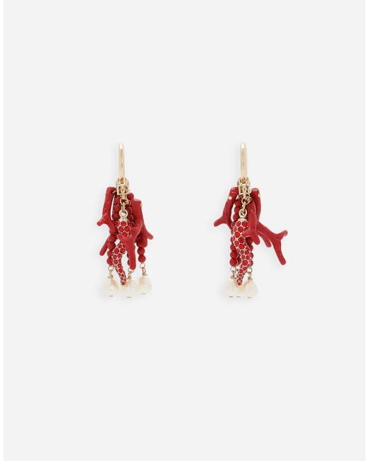 Dolce & Gabbana ホーン・コーラル・パール クレオール イヤリング Red