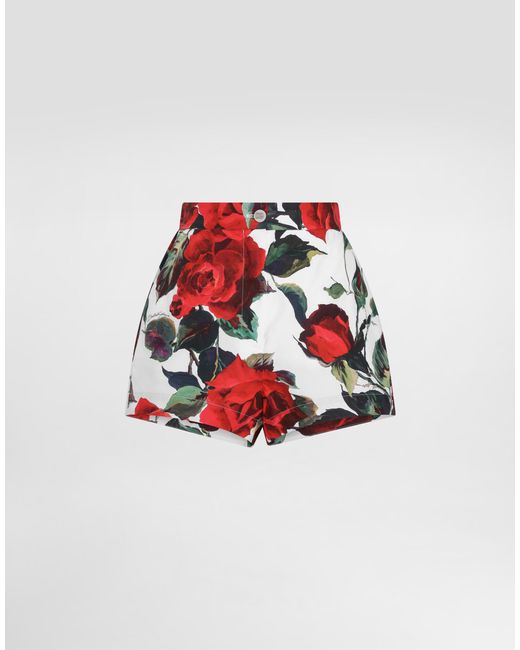 Shorts De Algodón Con Estampado De Rosas Dolce & Gabbana de color White