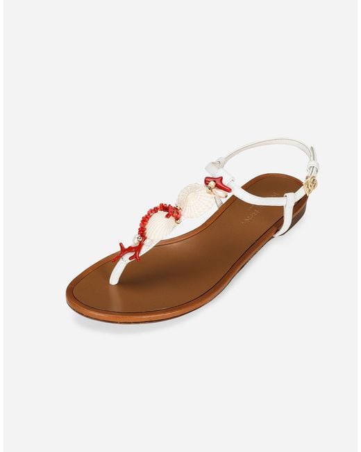 Dolce & Gabbana コーラルエンブロイダリー ナッパレザー トングサンダル White