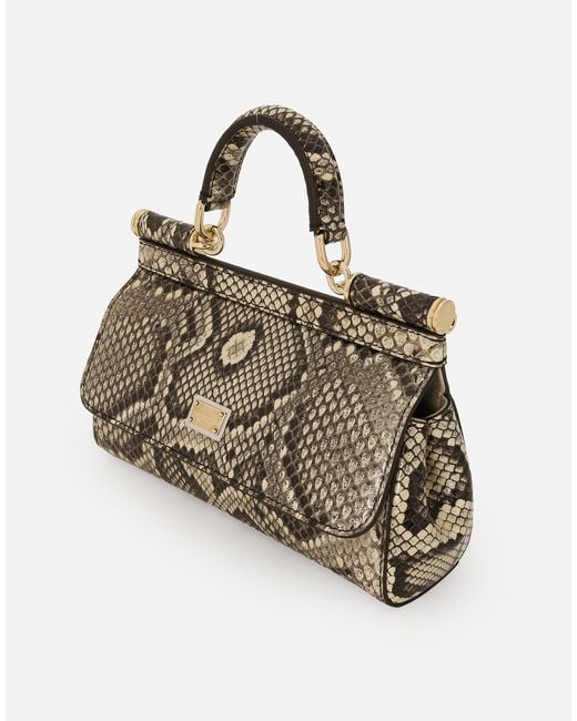 Dolce & Gabbana Natural Small Sicily Handbag