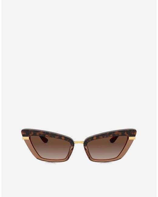 Half Print Sunglasses di Dolce & Gabbana in Brown