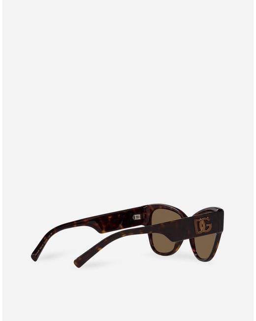 Dolce & Gabbana 「Dgロゴ」 サングラス Brown