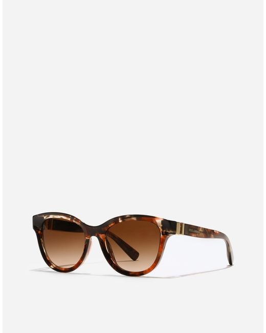 Dolce & Gabbana Brown Dg Hinge Sunglasses