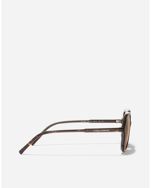 Dolce & Gabbana Multicolor Dg Everyday Sunglasses
