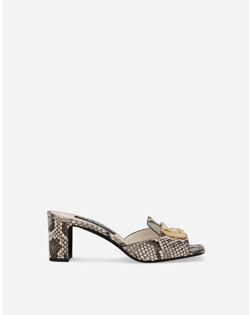 Dolce & Gabbana White Mule Aus Pythonleder