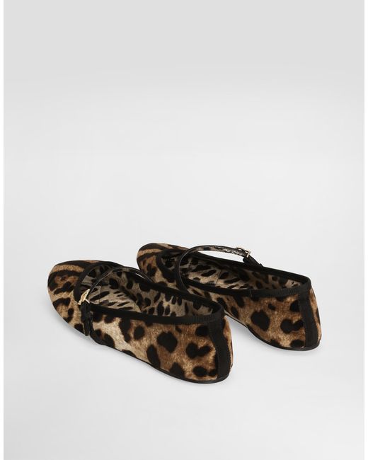 Dolce & Gabbana Brown Velvet Ballerinas With Animal Motif