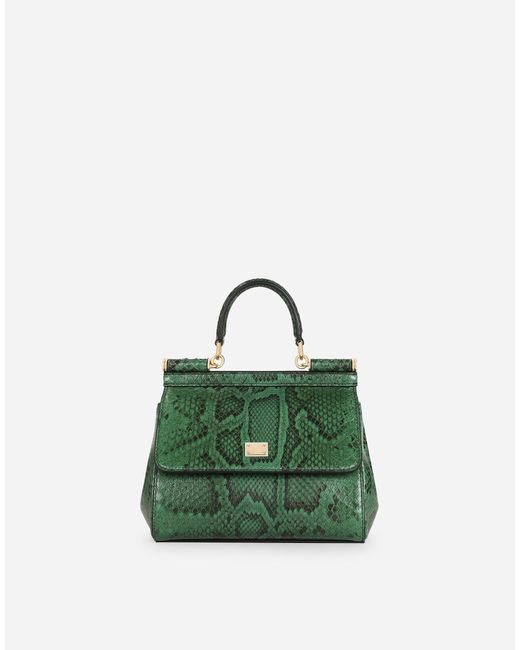 Borsa A Mano Sicily Media di Dolce & Gabbana in Green