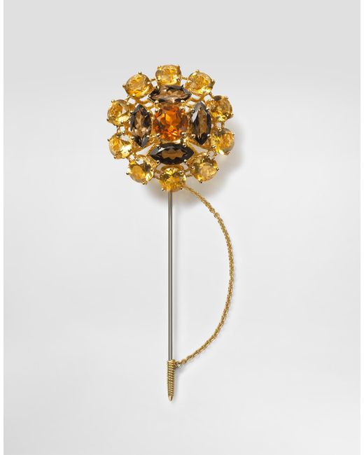 Dolce & Gabbana White Sicily Brooch 18-Carat And, Madera Quartz, Smoky Quartz And Citrines for men