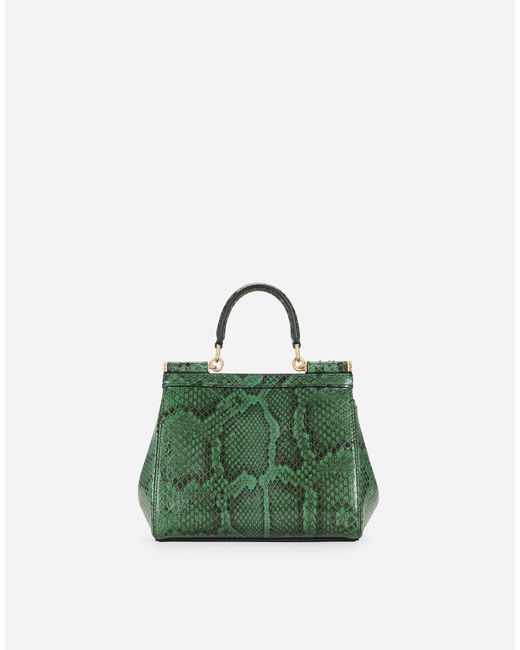 Borsa A Mano Sicily Media di Dolce & Gabbana in Green