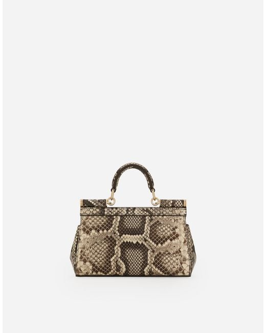 Dolce & Gabbana Natural Small Sicily Handbag