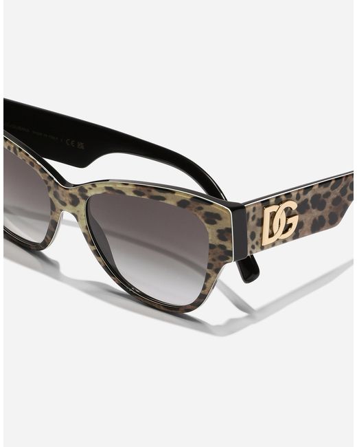 Dolce & Gabbana 「Dgロゴ」 サングラス Gray