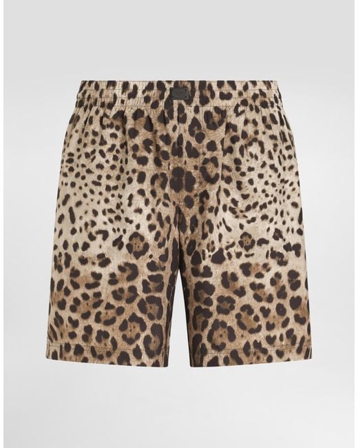 Dolce & Gabbana Brown Mid-Length Swim Trunks With Leopard for men
