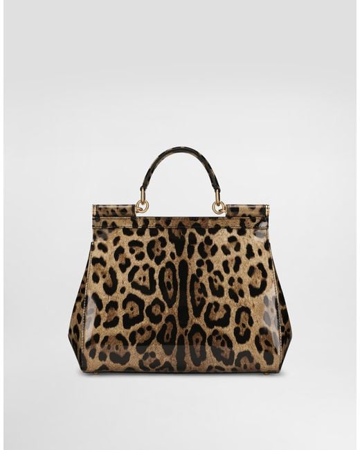 Dolce & Gabbana Brown Large Sicily Handbag